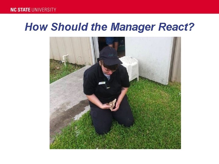 How Should the Manager React? 