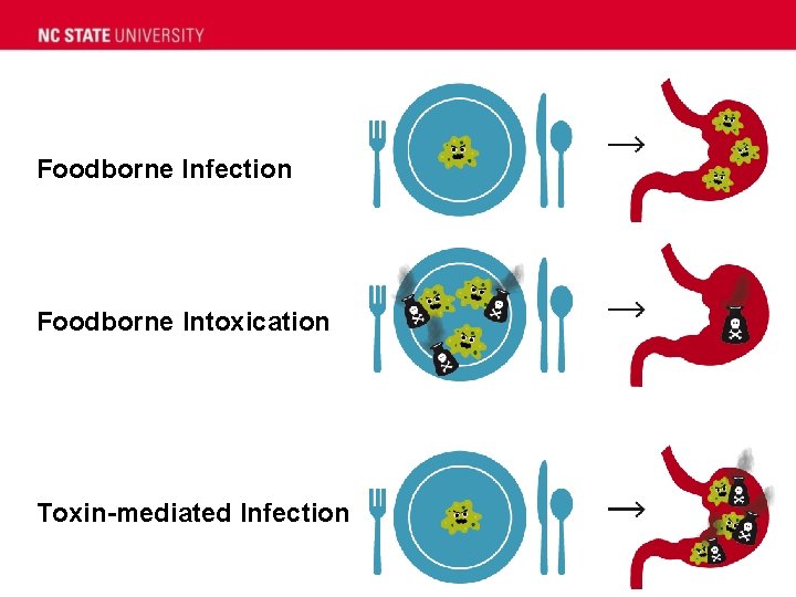 Foodborne Infection Foodborne Intoxication Toxin-mediated Infection 