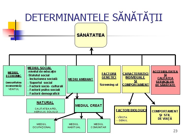 DETERMINANTELE SĂNĂTĂŢII SĂNĂTATEA MEDIUL ECONOMIC (securitatea economică) VENITUL MEDIUL SOCIAL -nivelul de educaţie -Statutul