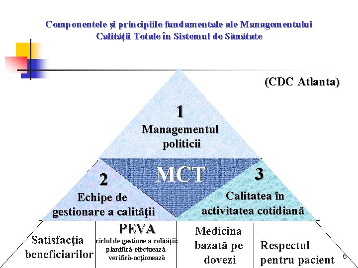 Componentele şi principiile fundamentale Managementului Calităţii Totale în Sistemul de Sănătate (CDC Atlanta) 1