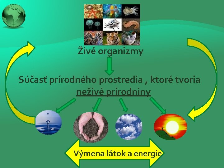 Živé organizmy Súčasť prírodného prostredia , ktoré tvoria neživé prírodniny Výmena látok a energie