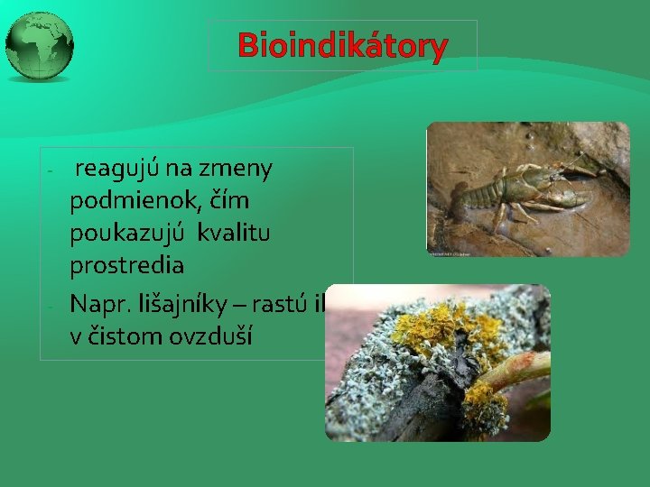 Bioindikátory - - reagujú na zmeny podmienok, čím poukazujú kvalitu prostredia Napr. lišajníky –