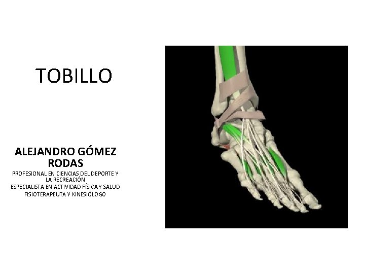 TOBILLO ALEJANDRO GÓMEZ RODAS PROFESIONAL EN CIENCIAS DEL DEPORTE Y LA RECREACIÓN ESPECIALISTA EN