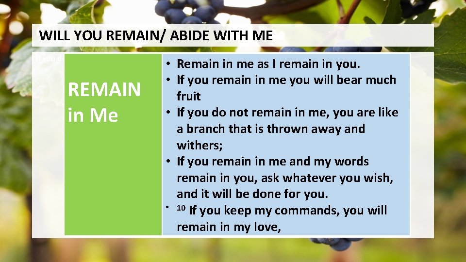 WILL YOU REMAIN/ ABIDE WITH ME If you do not remain in me, you