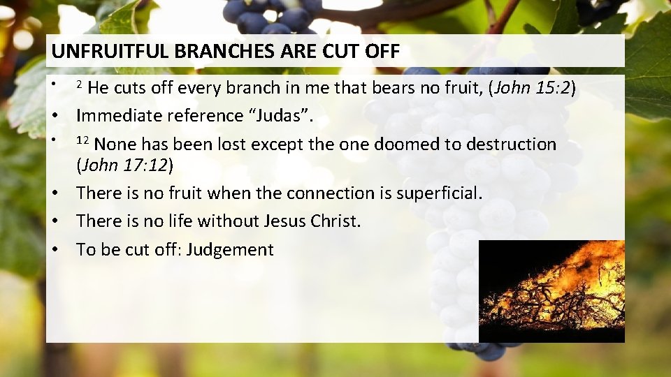 UNFRUITFUL BRANCHES ARE CUT OFF • • • He cuts off every branch in