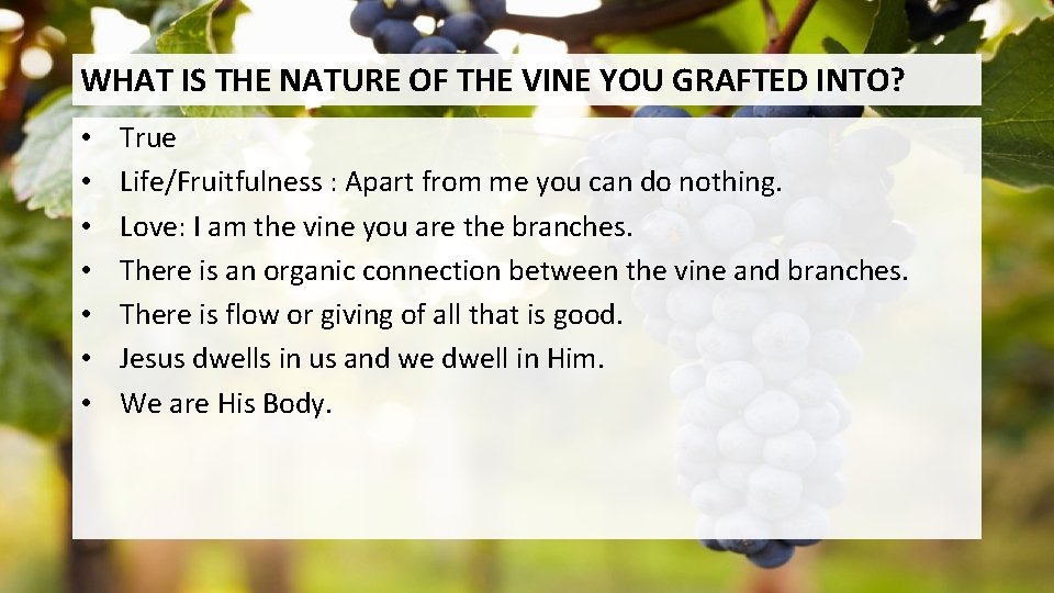 WHAT IS THE NATURE OF THE VINE YOU GRAFTED INTO? • • True Life/Fruitfulness