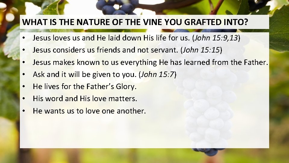 WHAT IS THE NATURE OF THE VINE YOU GRAFTED INTO? • • Jesus loves