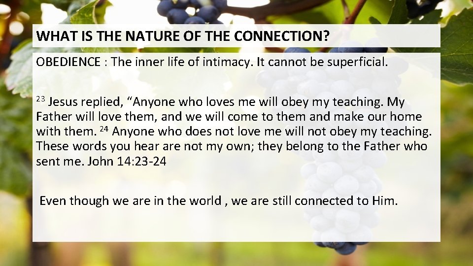 WHAT IS THE NATURE OF THE CONNECTION? OBEDIENCE : The inner life of intimacy.