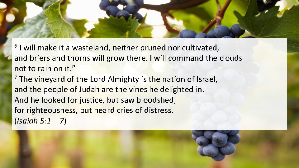 I will make it a wasteland, neither pruned nor cultivated, and briers and thorns