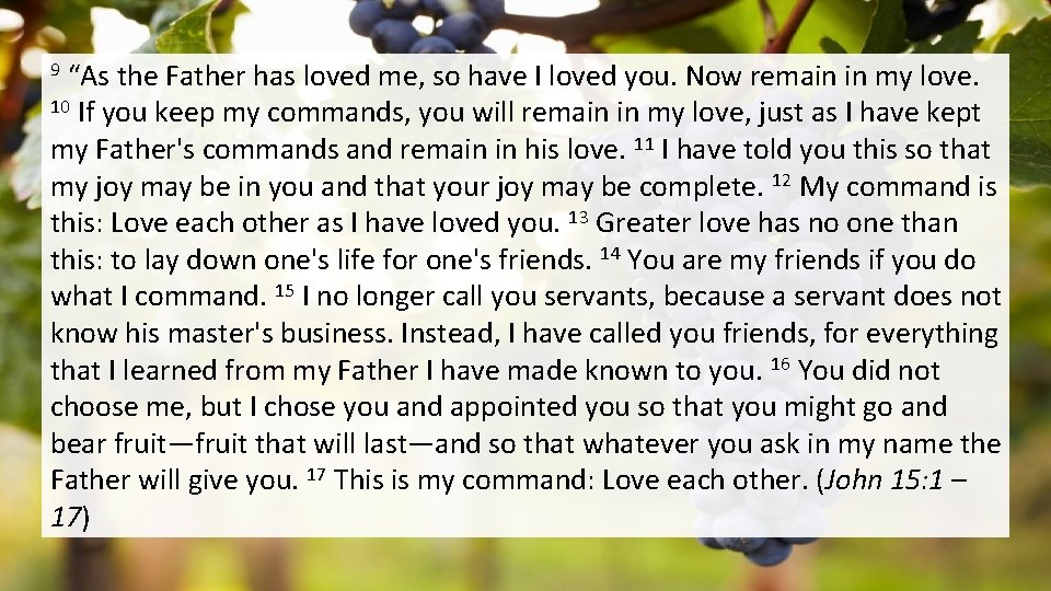 “As the Father has loved me, so have I loved you. Now remain in