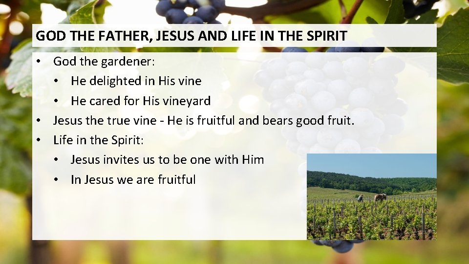 GOD THE FATHER, JESUS AND LIFE IN THE SPIRIT • God the gardener: •