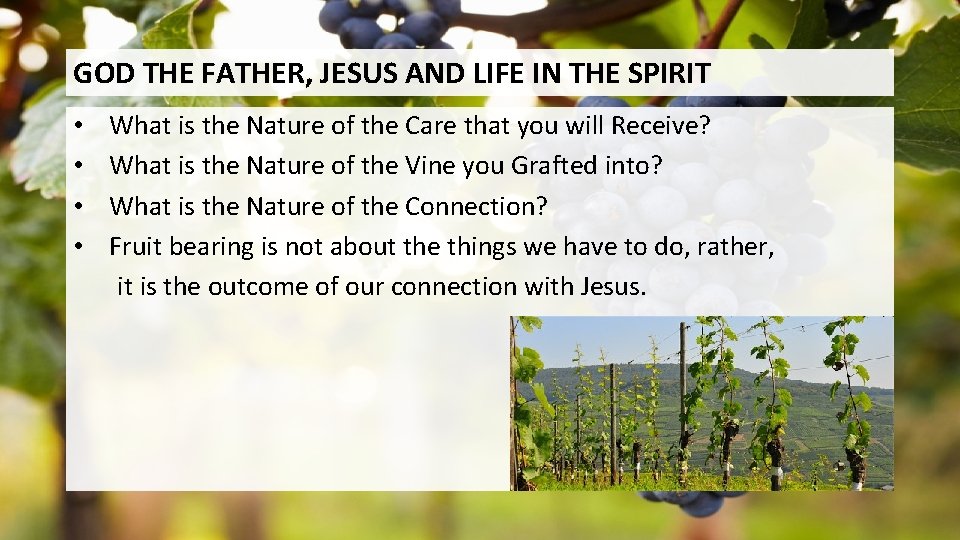 GOD THE FATHER, JESUS AND LIFE IN THE SPIRIT • • What is the