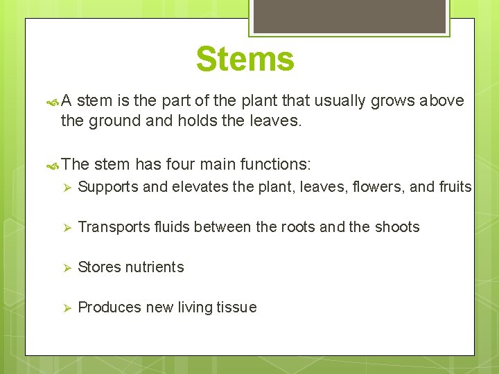 Stems A stem is the part of the plant that usually grows above the Stems A stem is the part of the plant that usually grows above the