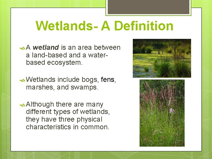 Wetlands- A Definition A wetland is an area between a land-based and a waterbased Wetlands- A Definition A wetland is an area between a land-based and a waterbased