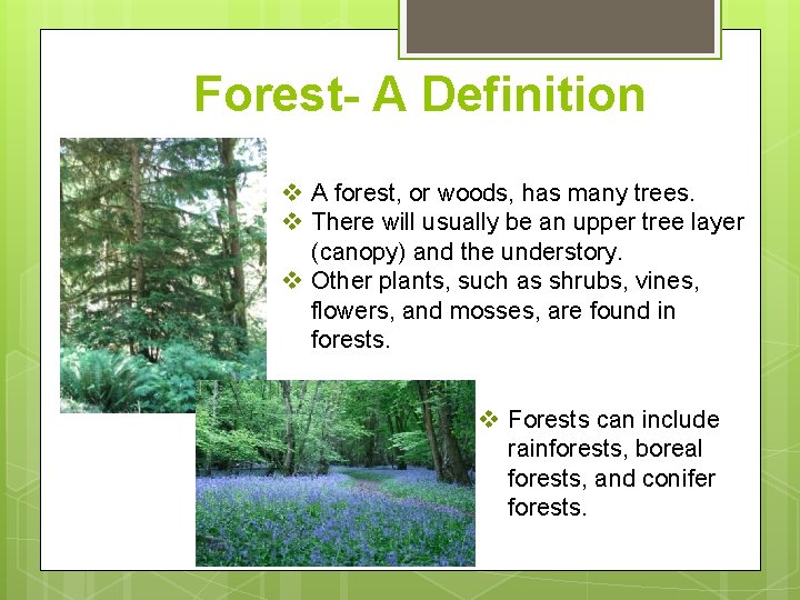 Forest- A Definition v A forest, or woods, has many trees. v There will Forest- A Definition v A forest, or woods, has many trees. v There will