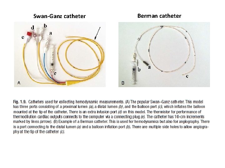 Swan-Ganz catheter Berman catheter 