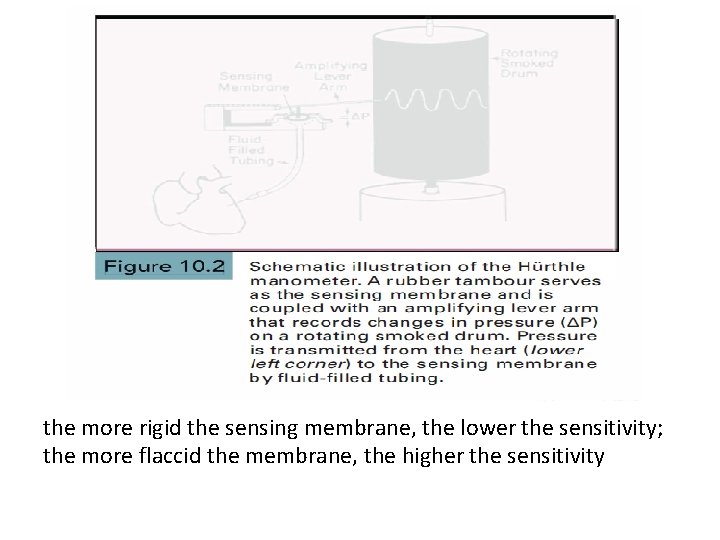 the more rigid the sensing membrane, the lower the sensitivity; the more flaccid the