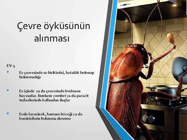 Çevre öyküsünün alınması EV-5 • Ev çevresinde su birikintisi, bataklık bulunup bulunmadığı • Ev Çevre öyküsünün alınması EV-5 • Ev çevresinde su birikintisi, bataklık bulunup bulunmadığı • Ev