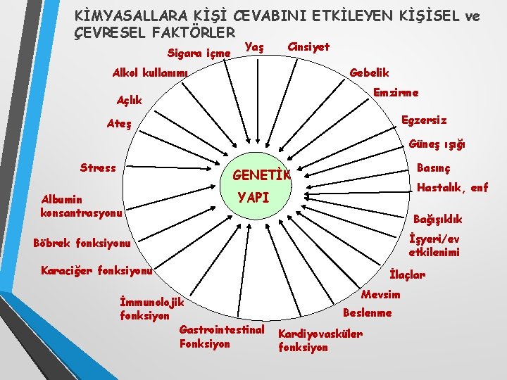 KİMYASALLARA KİŞİ CEVABINI ETKİLEYEN KİŞİSEL ve ÇEVRESEL FAKTÖRLER Sigara içme Yaş Cinsiyet Alkol kullanımı KİMYASALLARA KİŞİ CEVABINI ETKİLEYEN KİŞİSEL ve ÇEVRESEL FAKTÖRLER Sigara içme Yaş Cinsiyet Alkol kullanımı