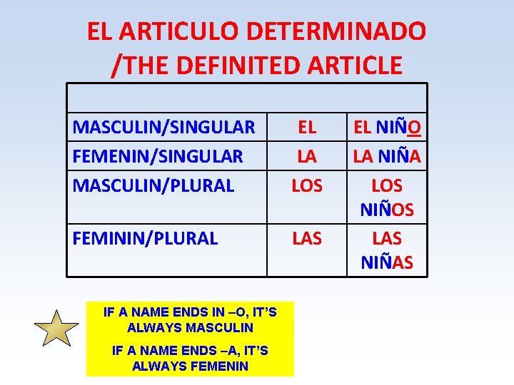 EL ARTICULO DETERMINADO /THE DEFINITED ARTICLE MASCULIN/SINGULAR FEMENIN/SINGULAR MASCULIN/PLURAL EL LA LOS FEMININ/PLURAL LAS