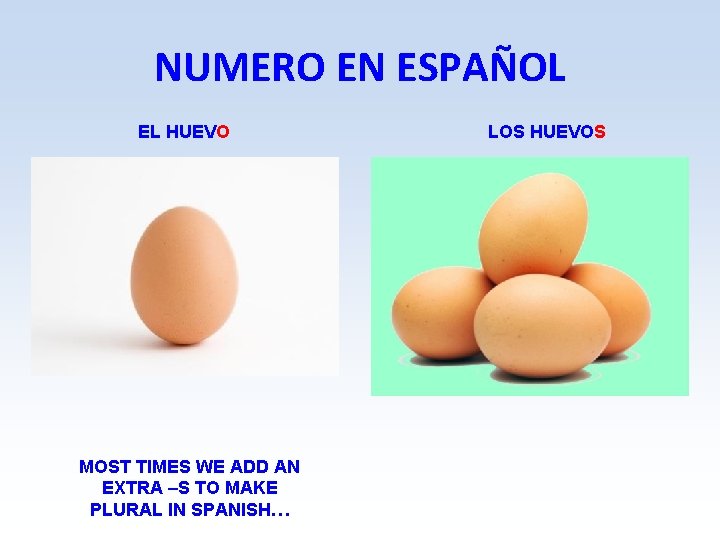 NUMERO EN ESPAÑOL EL HUEVO MOST TIMES WE ADD AN EXTRA –S TO MAKE