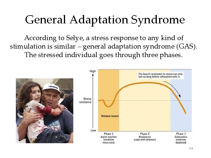 General Adaptation Syndrome According to Selye, a stress response to any kind of stimulation