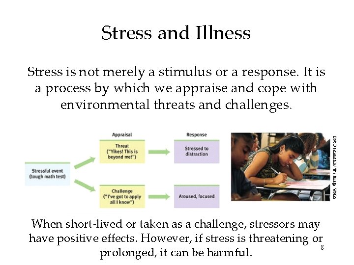 Stress and Illness Stress is not merely a stimulus or a response. It is