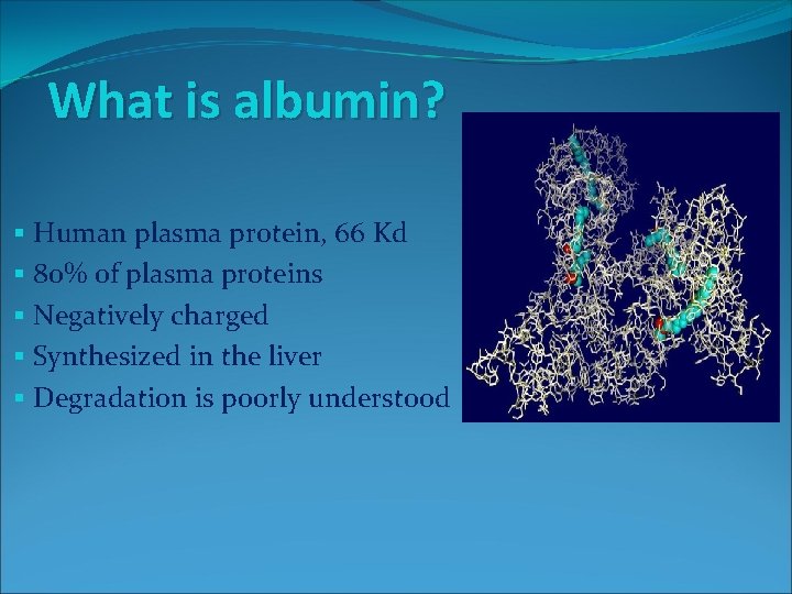 What is albumin? § Human plasma protein, 66 Kd § 80% of plasma proteins