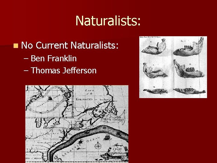 Naturalists: n No Current Naturalists: – Ben Franklin – Thomas Jefferson Naturalists: n No Current Naturalists: – Ben Franklin – Thomas Jefferson