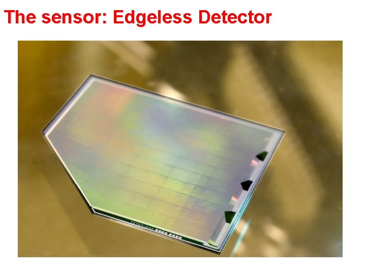 The sensor: Edgeless Detector 