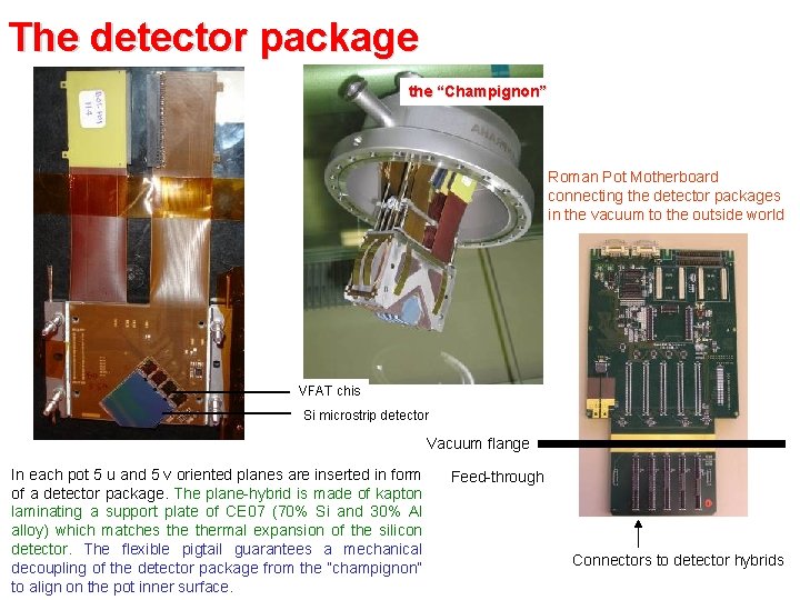 The detector package the “Champignon” Roman Pot Motherboard connecting the detector packages in the