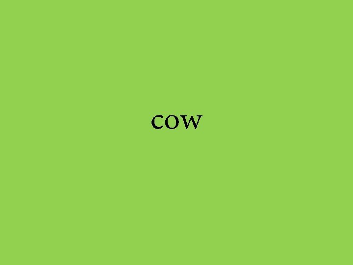 cow 