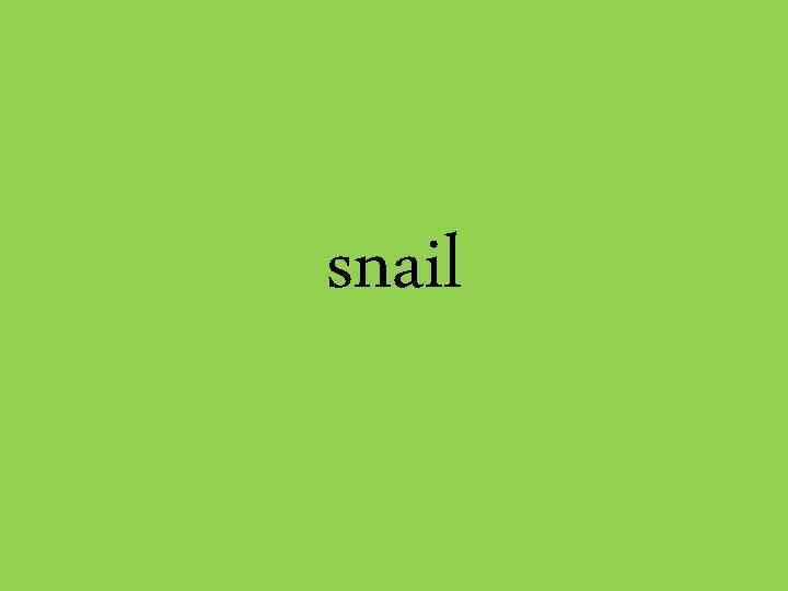 snail 