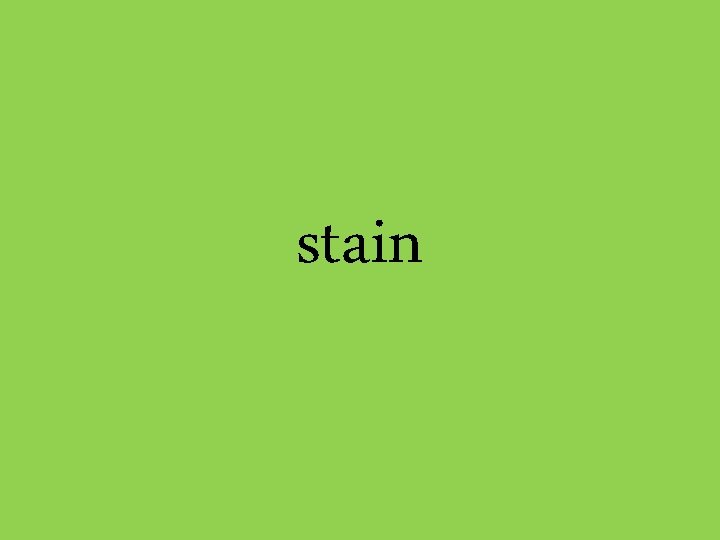 stain 