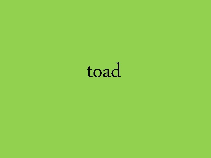 toad 