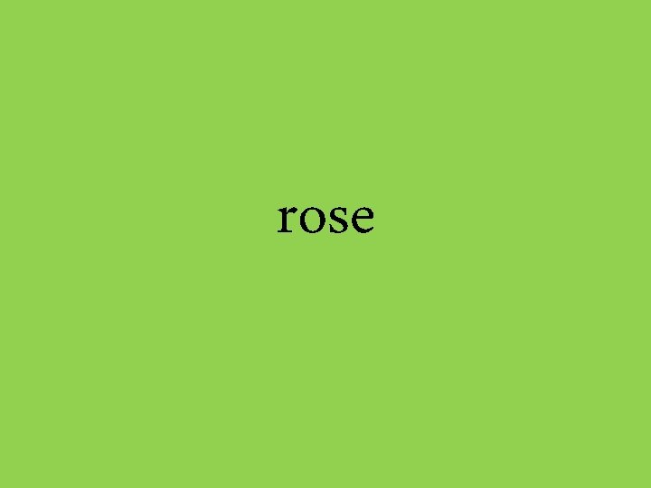 rose 