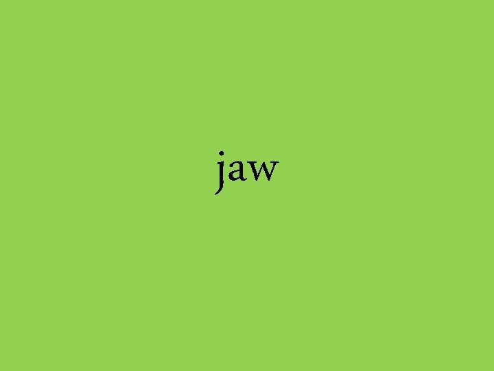 jaw 