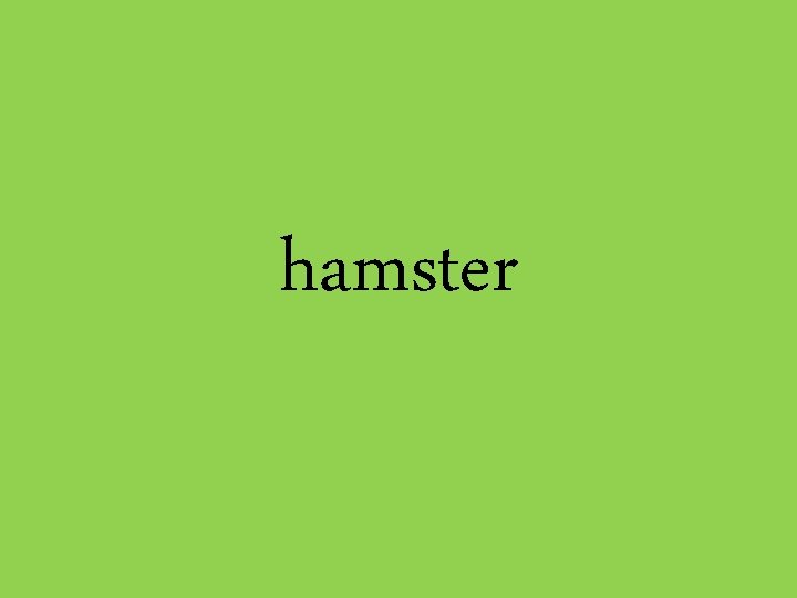 hamster 