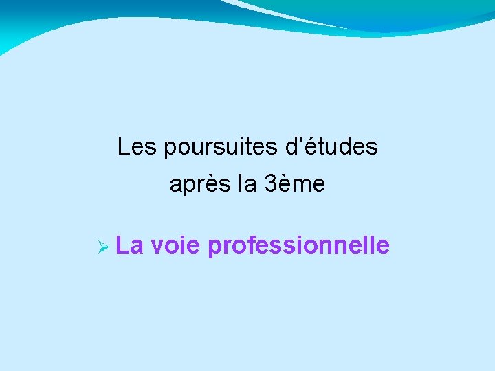 Les poursuites d’études après la 3ème La voie professionnelle 