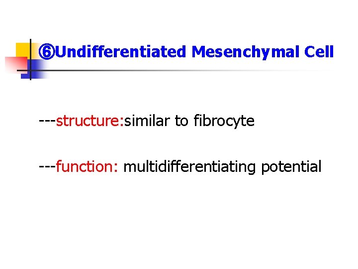 ⑥Undifferentiated Mesenchymal Cell ---structure: similar to fibrocyte ---function: multidifferentiating potential ⑥Undifferentiated Mesenchymal Cell ---structure: similar to fibrocyte ---function: multidifferentiating potential