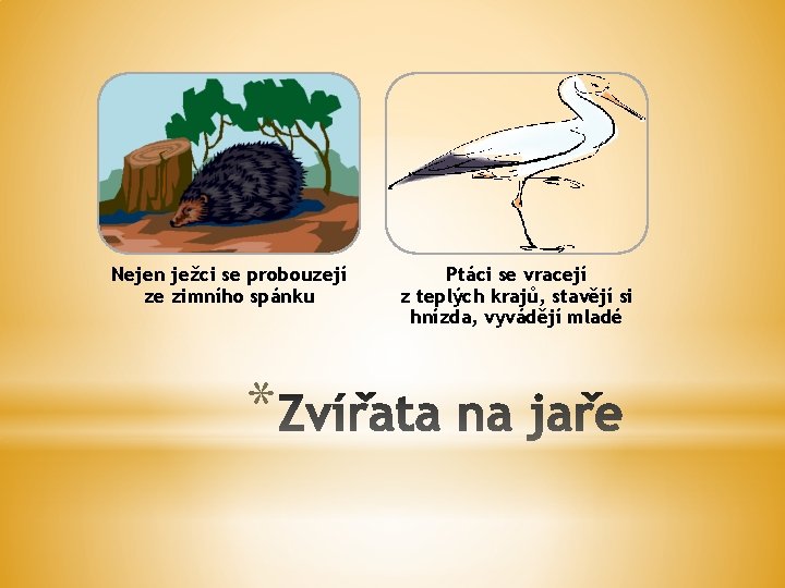 Nejen ježci se probouzejí ze zimního spánku * Ptáci se vracejí z teplých krajů,