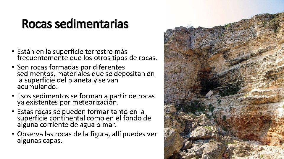 Rocas sedimentarias • Están en la superficie terrestre más frecuentemente que los otros tipos Rocas sedimentarias • Están en la superficie terrestre más frecuentemente que los otros tipos