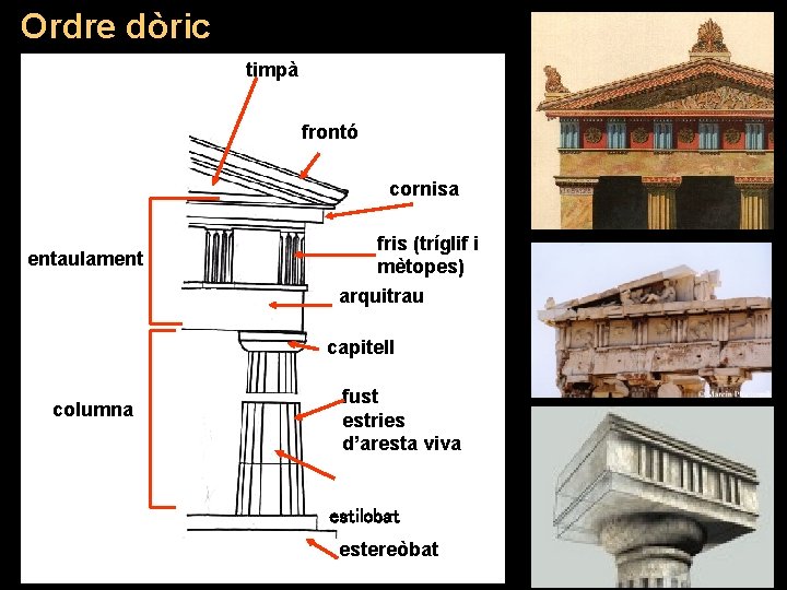 Ordre dòric timpà frontó cornisa entaulament fris (tríglif i mètopes) arquitrau capitell columna fust