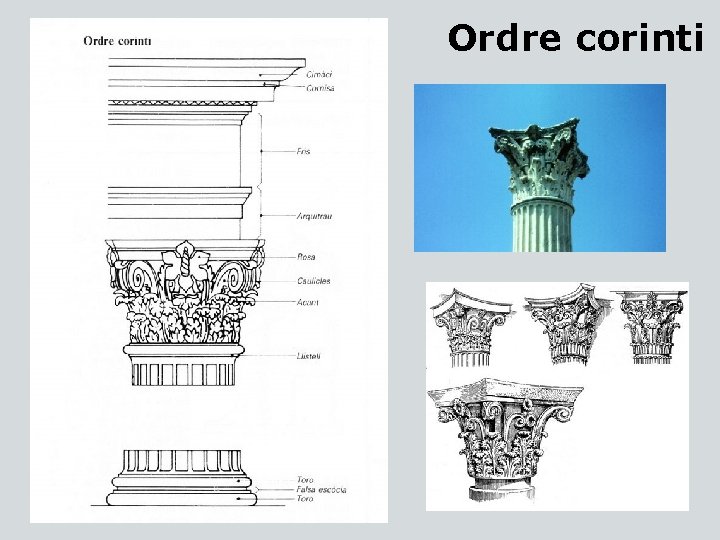 Ordre corinti 