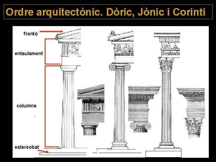 Ordre arquitectònic. Dòric, Jònic i Corinti frontó entaulament columna estereobat 