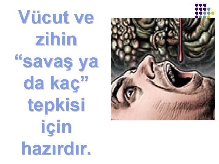 Vücut ve zihin “savaş ya da kaç” tepkisi için hazırdır. 