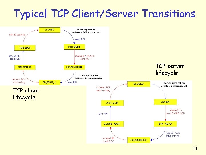 Typical TCP Client/Server Transitions TCP server lifecycle TCP client lifecycle 14 