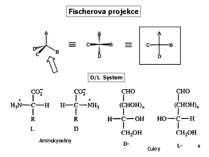 Fischerova projekce D/L System Aminokyseliny D- Cukry L- 5 