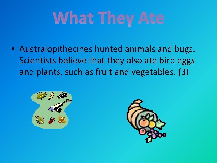 What They Ate • Australopithecines hunted animals and bugs. Scientists believe that they also