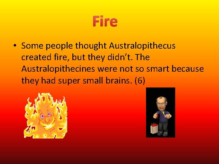 Fire • Some people thought Australopithecus created fire, but they didn’t. The Australopithecines were